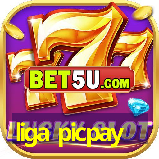 liga picpay